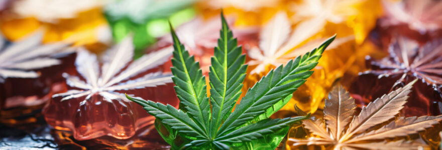 Les CBD gummies